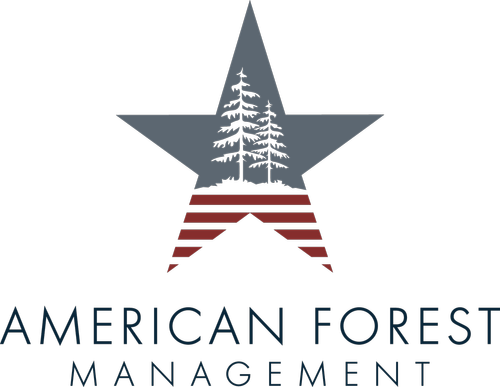 American Forest Management