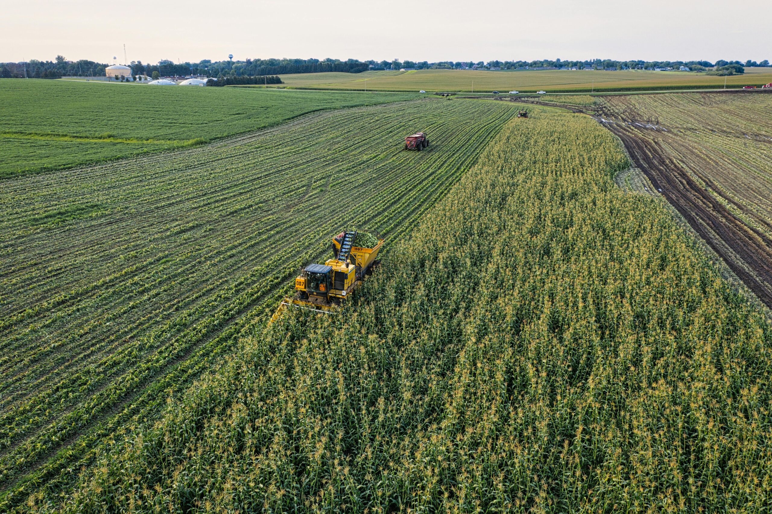 Leading Harvest